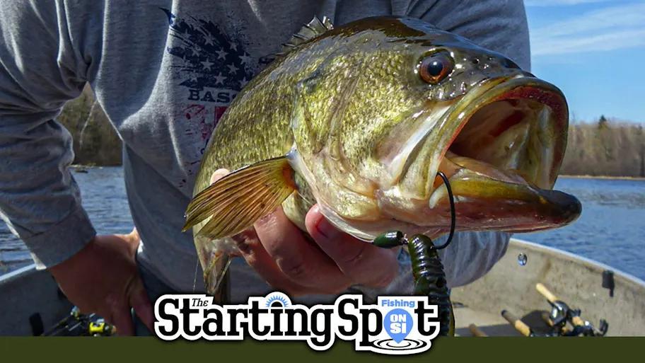Bass Fishing Champs: Wild Weekend Wins!