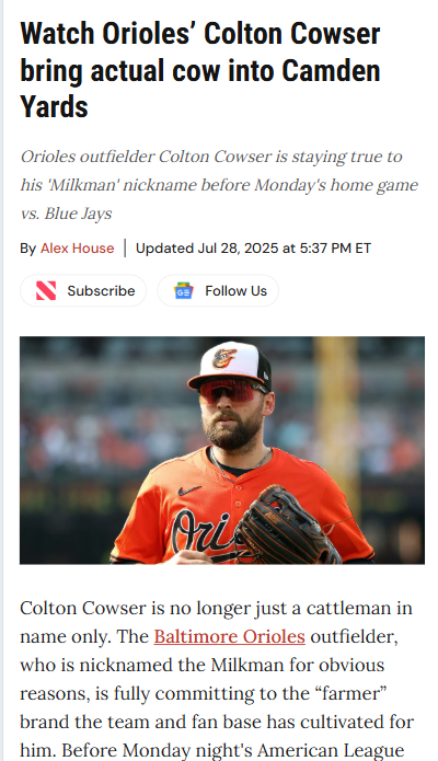 Colton Cowser’s cow stroll at Camden Yards