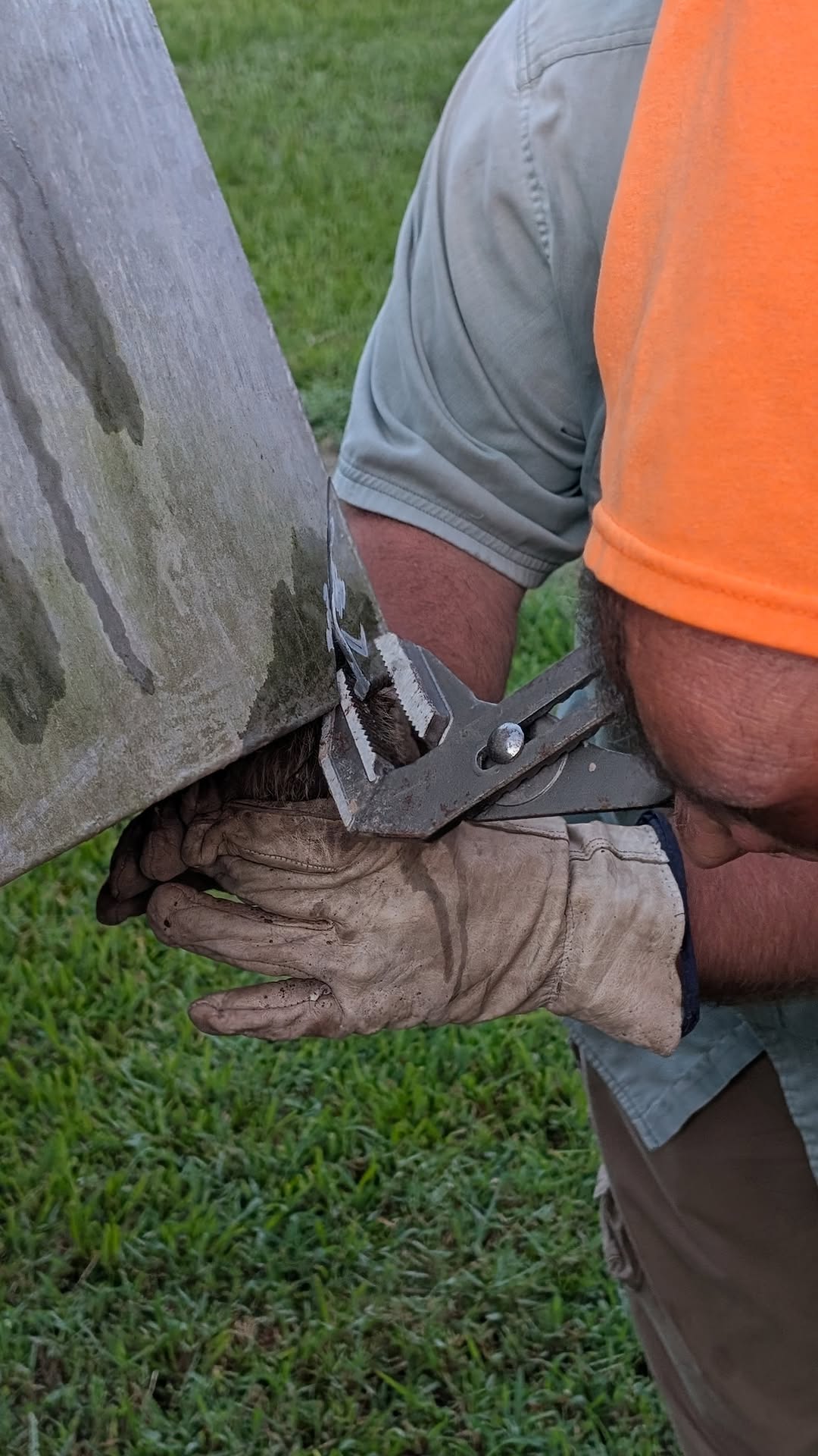 Vidor crew’s wild raccoon rescue in a dumpster