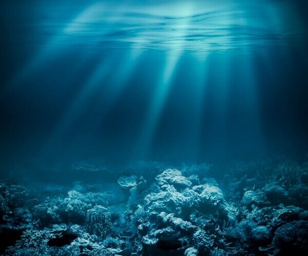 Deep-Sea Bacteria vs. Cancer?!