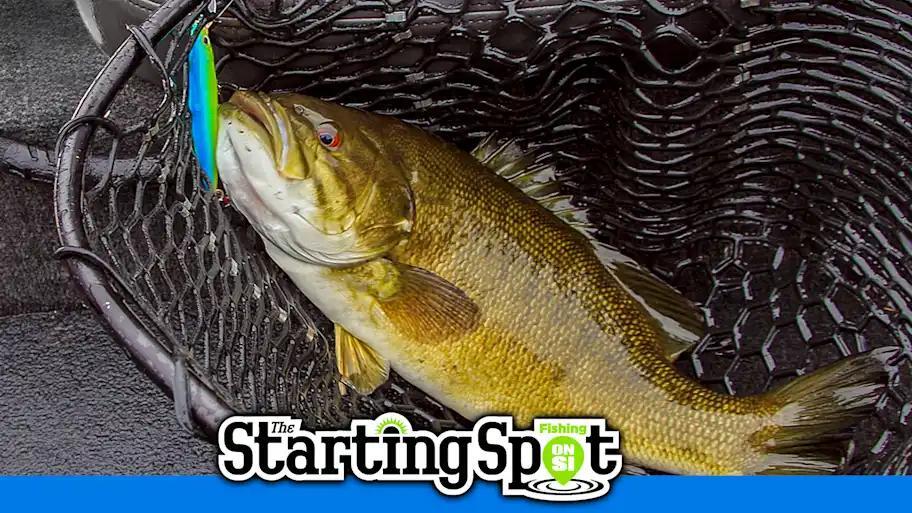 Fishing Pros vs YouTubers: Who Wins?