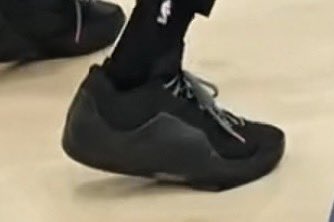 LeBron’s Sneaky New Nike Spotted!