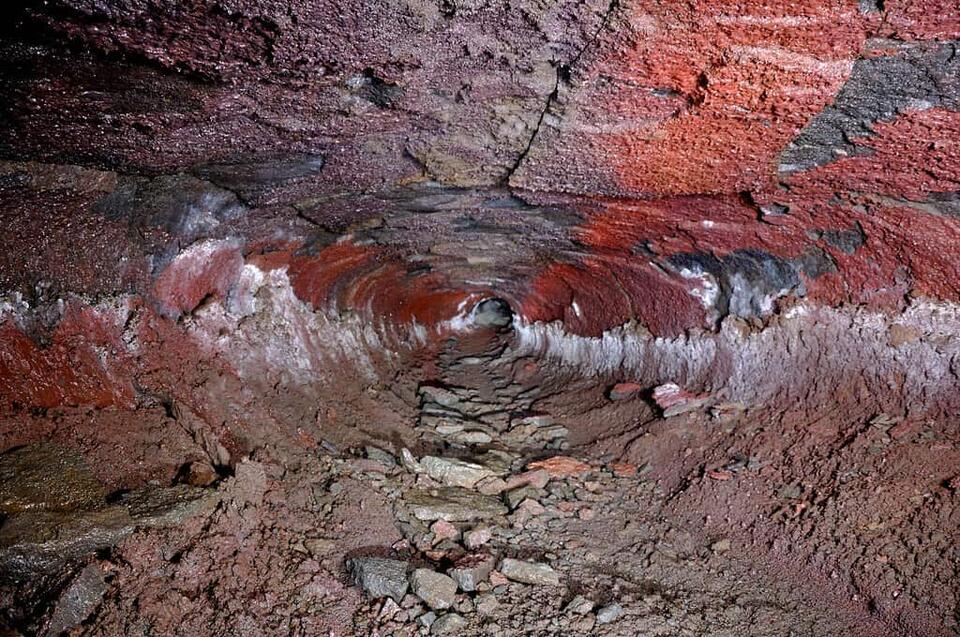 Cave Dirt Just Changed Animal History?!
