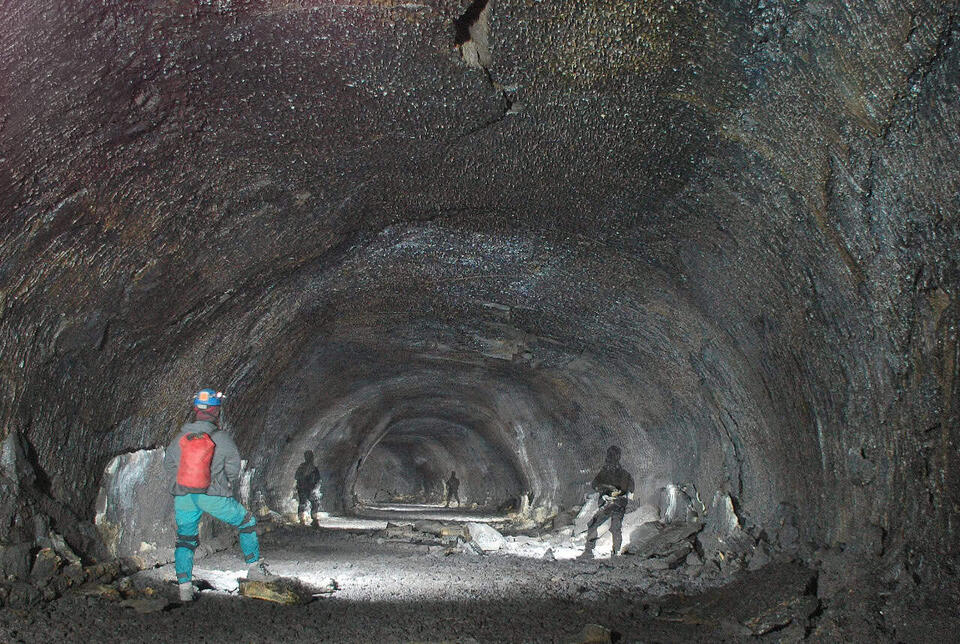 Cave Dirt Just Changed Animal History?!