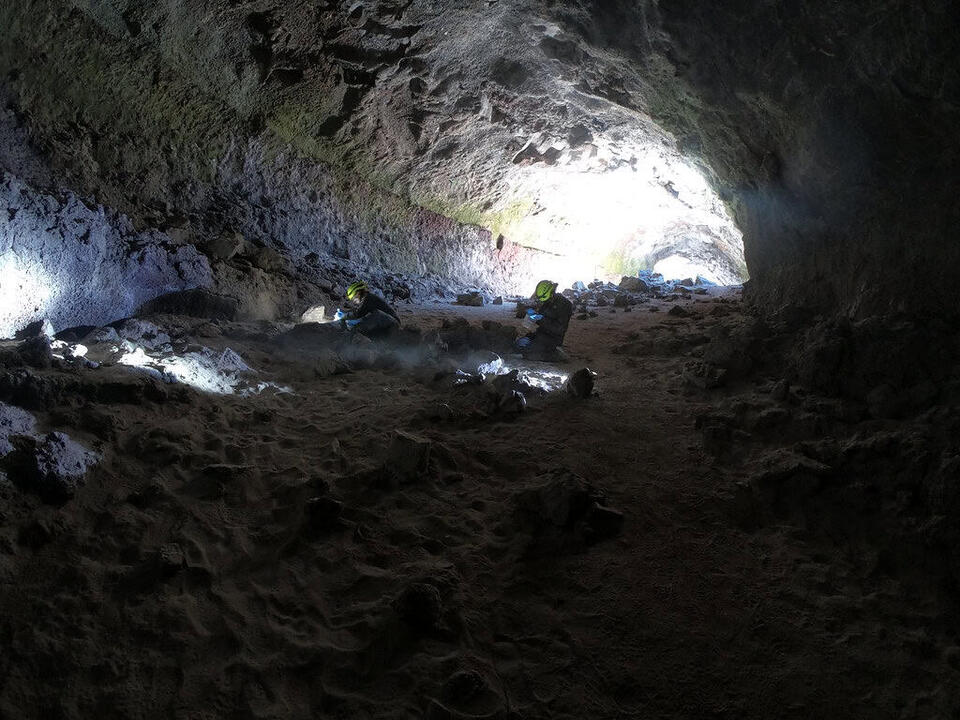 Cave Dirt Just Changed Animal History?!