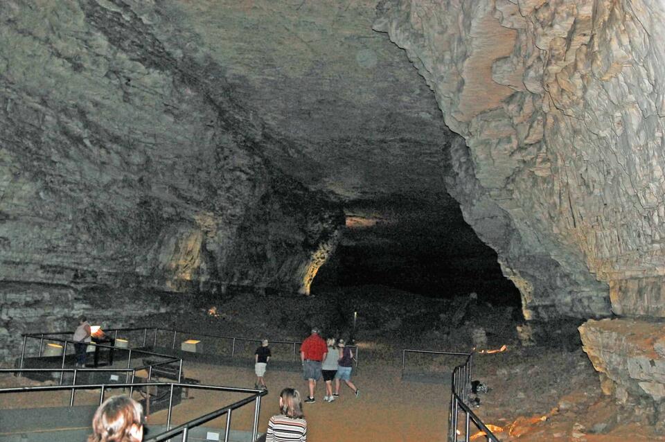 Cave Dirt Just Changed Animal History?!
