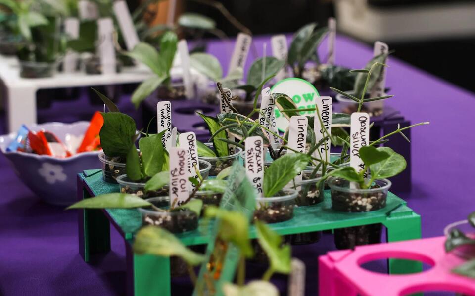 Arlington’s plant expo blooms with community spirit