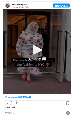 Pamela’s Wild Outfit Sparks Internet Drama