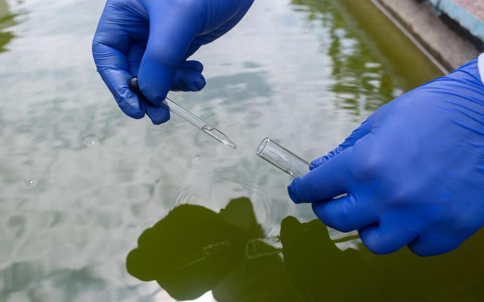 Mercury threat rising on NC beaches