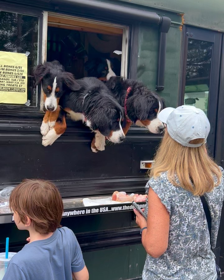 The Berner Bus steals the show in Pennsylvania
