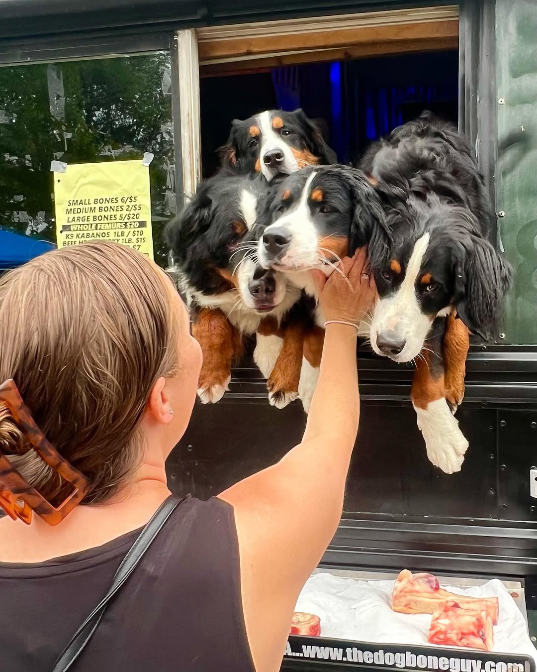 The Berner Bus steals the show in Pennsylvania