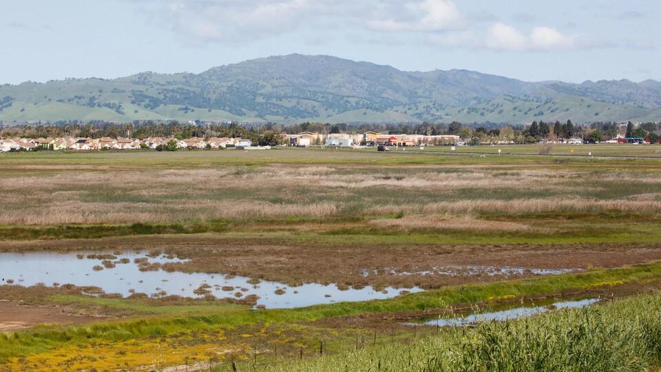Suisun Marsh faces urgent threat from rising seas