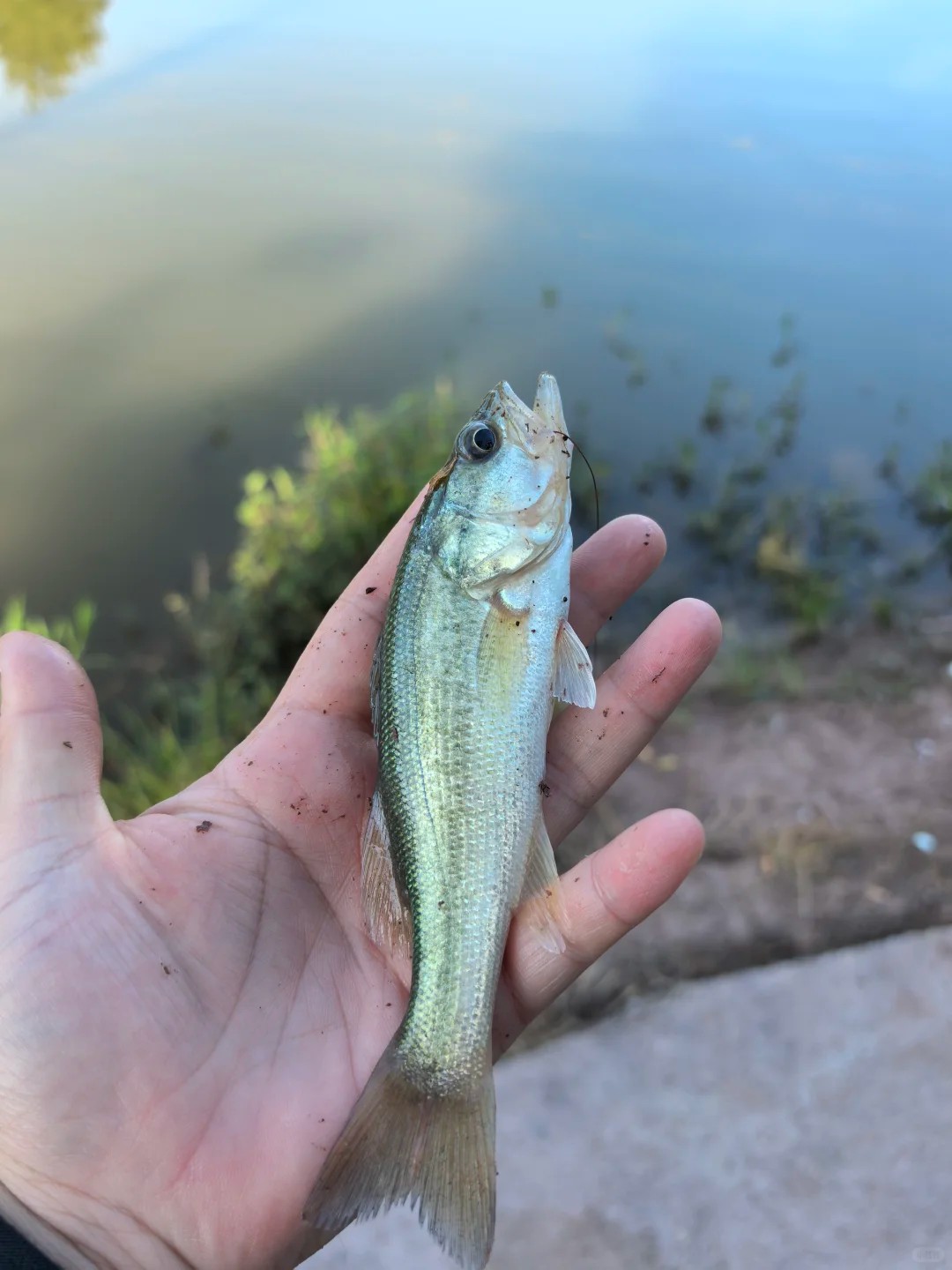 Why fishing isn't just a cast away!