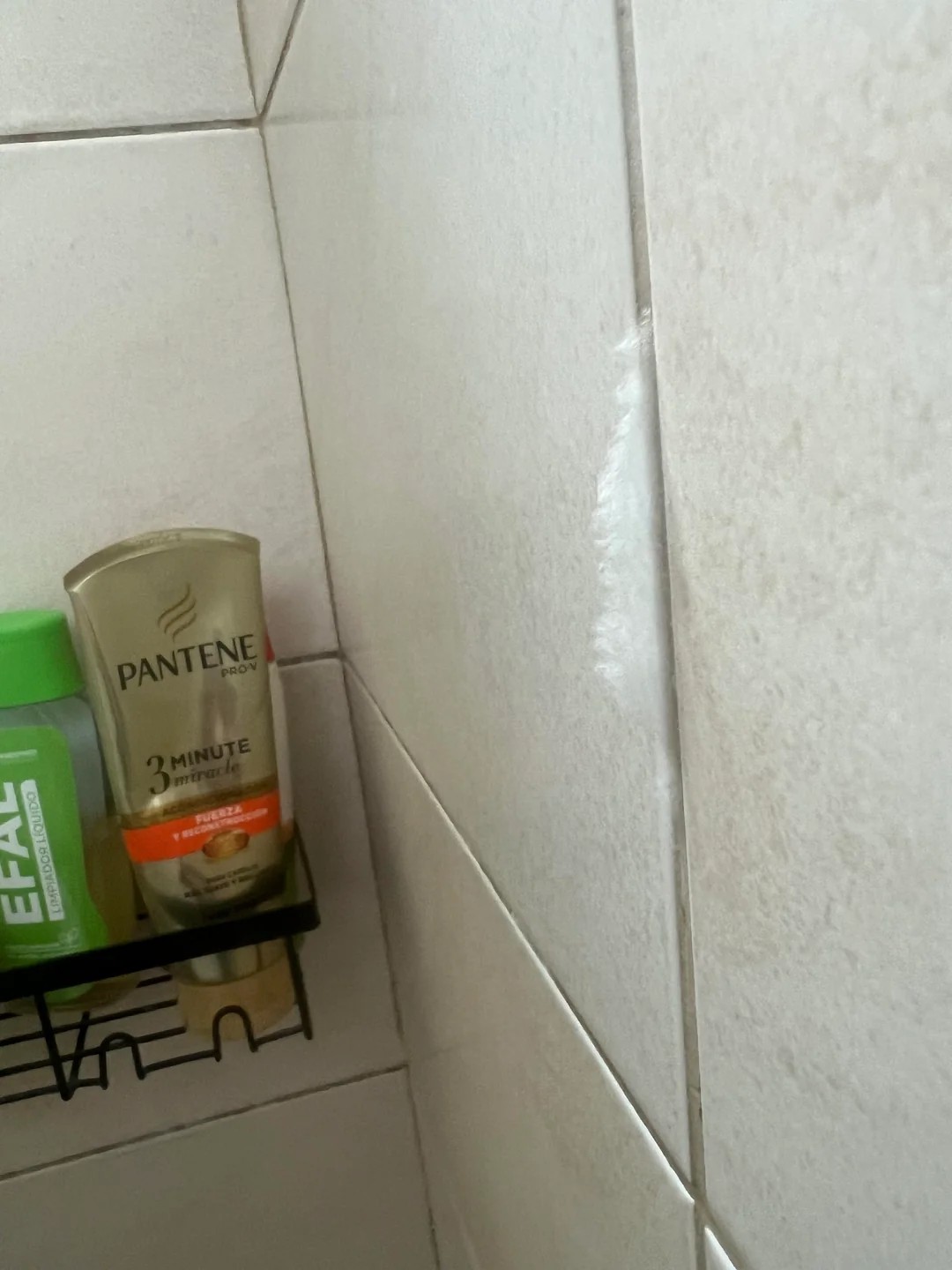 Cotton-like substance keeps growing on the bathroom walls 🤔🤔