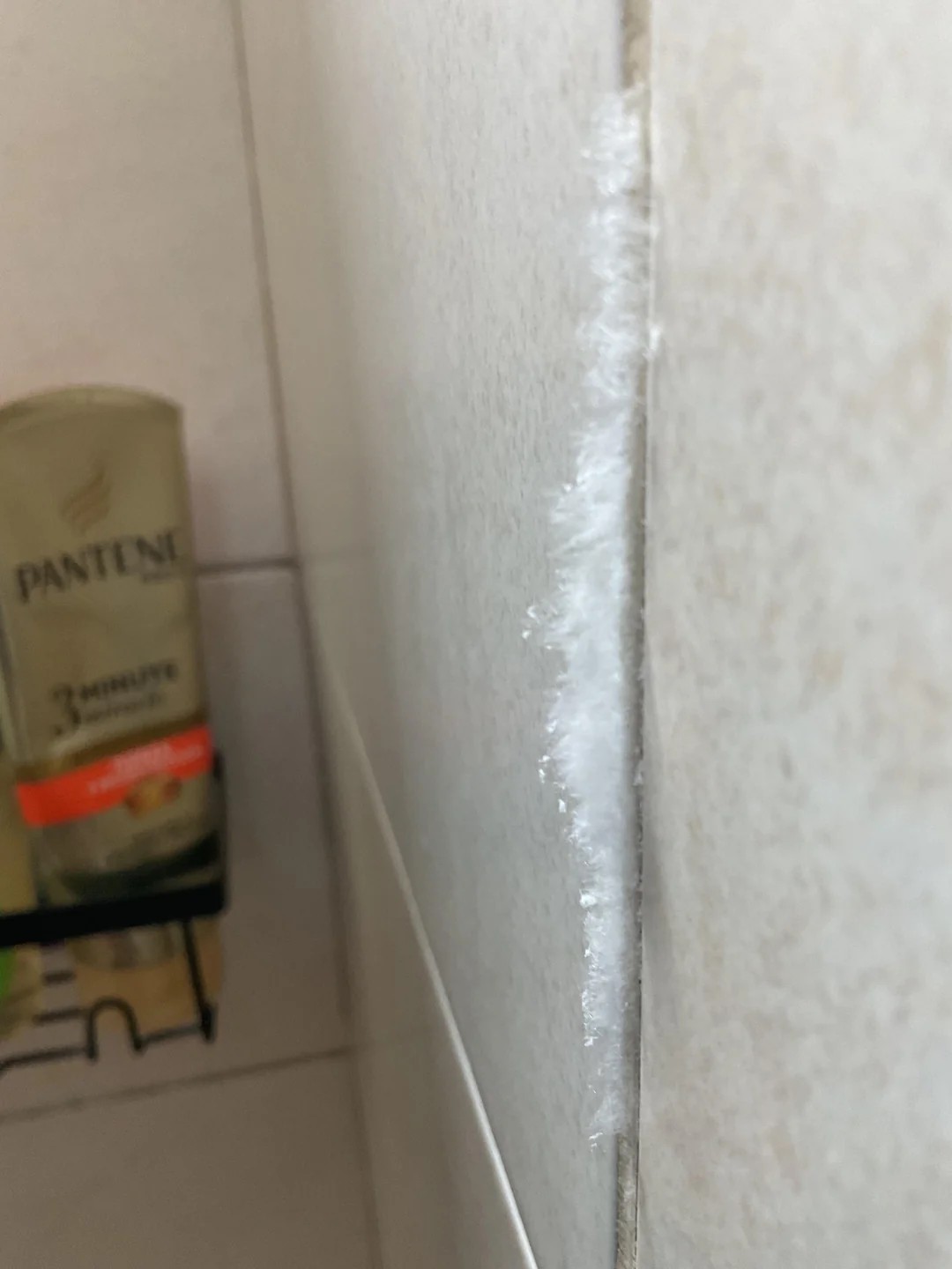 Cotton-like substance keeps growing on the bathroom walls 🤔🤔