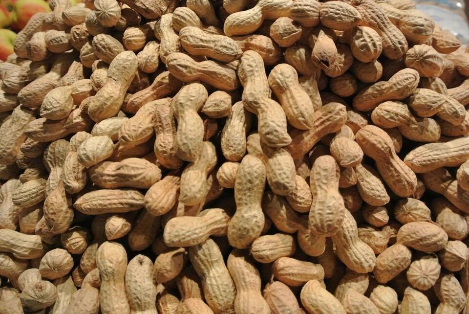 7 Foods That Crush Cravings Fast