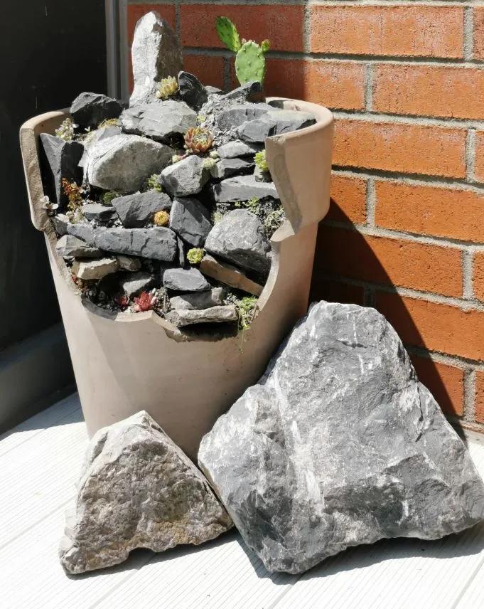 Broken Pot, New Garden Goals