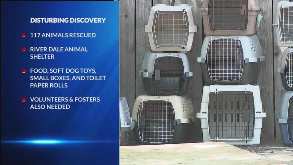 Northglenn animal rescue: How you can help