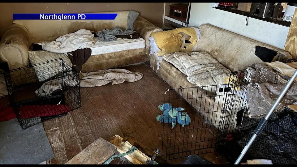 Northglenn animal rescue: How you can help