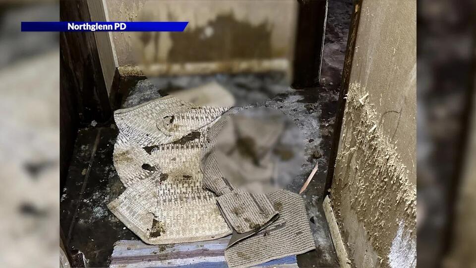 Northglenn animal rescue: How you can help