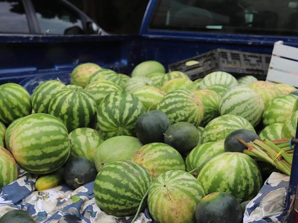 Fayetteville’s Watermelon Fest is back!