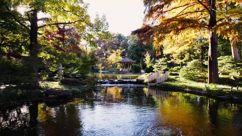 Fort Worth’s hidden escape: Japanese Gardens