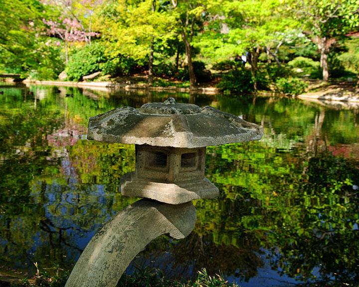 Fort Worth’s hidden escape: Japanese Gardens