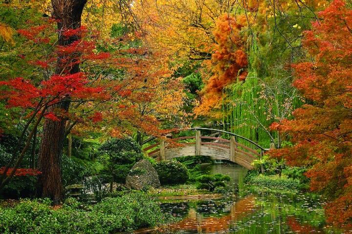 Fort Worth’s hidden escape: Japanese Gardens