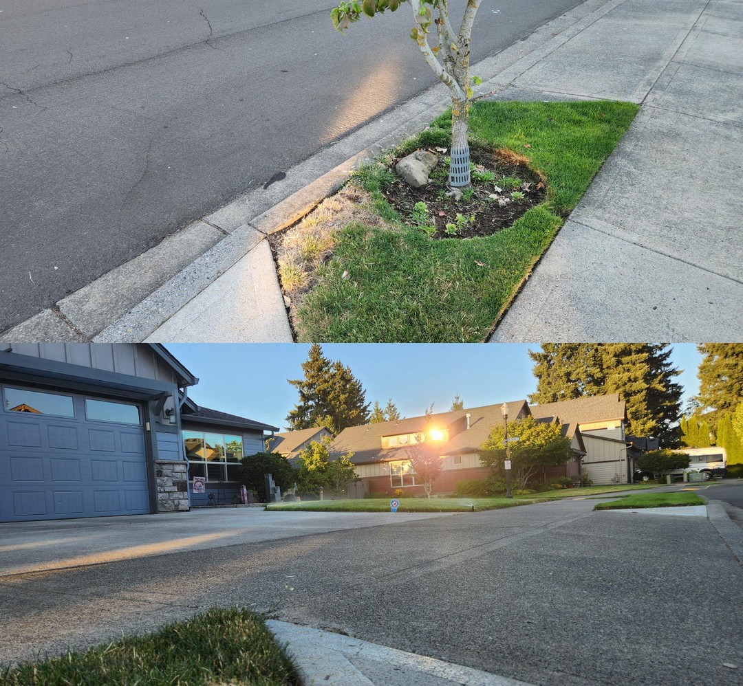 Neighbors' window kills a patch of the grass every summer 😂😂😂