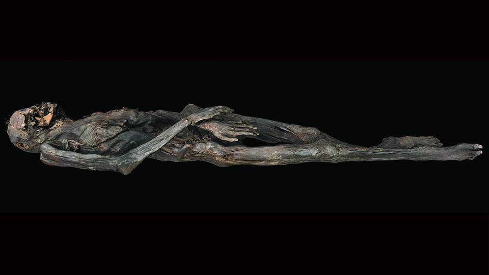 Ancient Siberian Tattoos: Ritual or Rebellion? 🐉