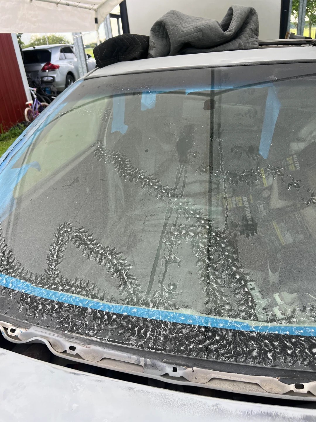 Mysterious trail on my car every morning 😨