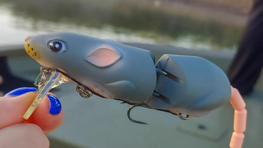 You Won’t Believe What Bass Will Eat