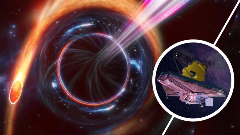Black Holes: The Universe’s Laziest Predators?