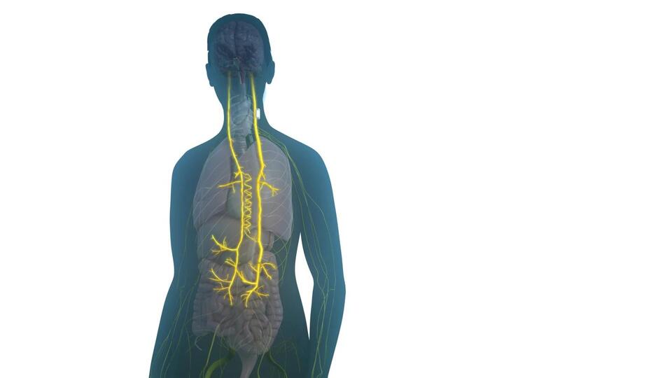 Tiny Implant Could Change RA Forever