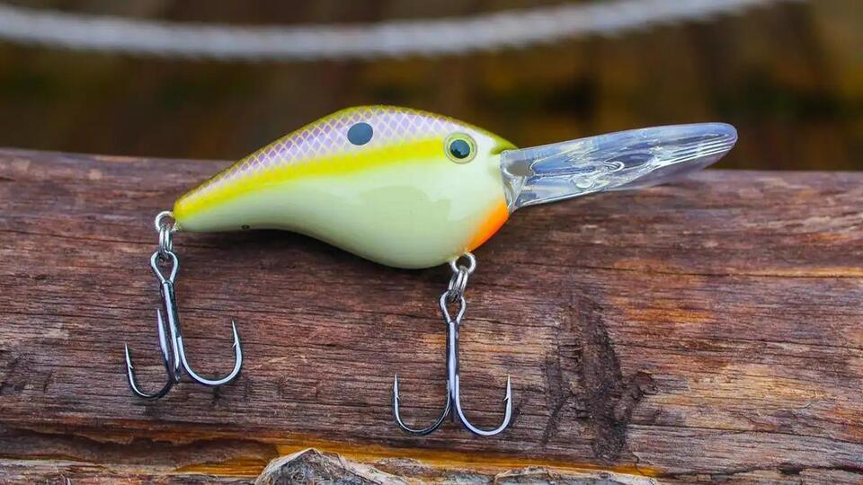 Monster Fish Just Scooped Up Profound Outdoors!
