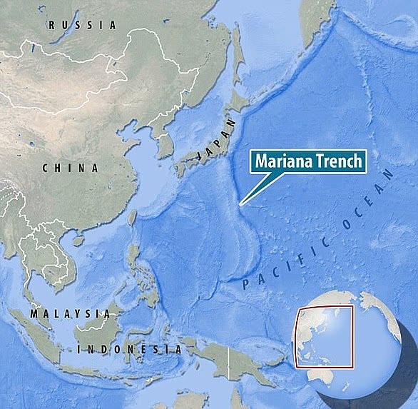 Creatures Found Thriving in Deepest Ocean
