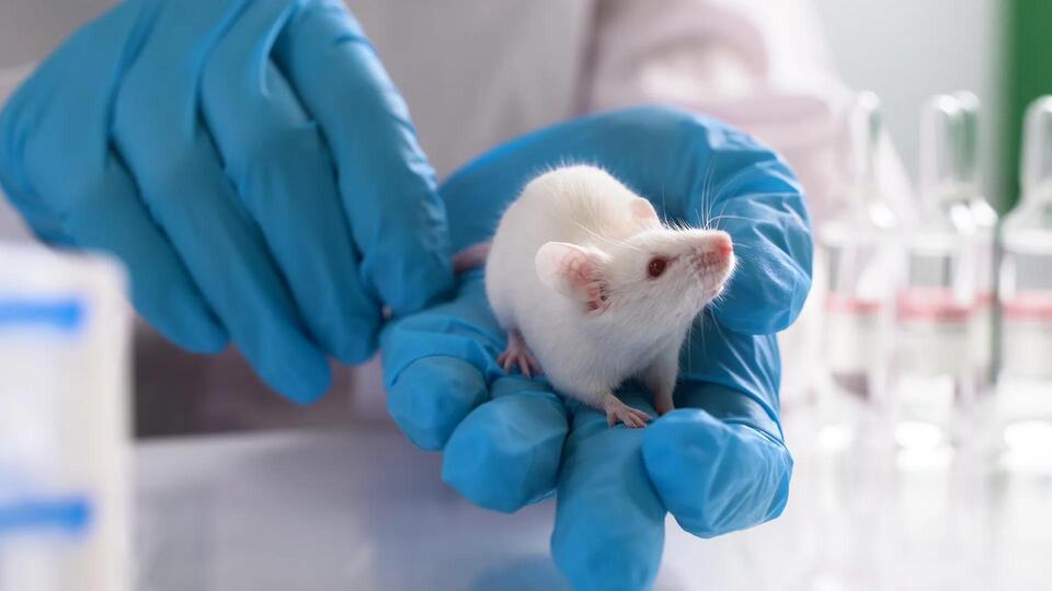 Forever Chemicals Messing With Our Minds?