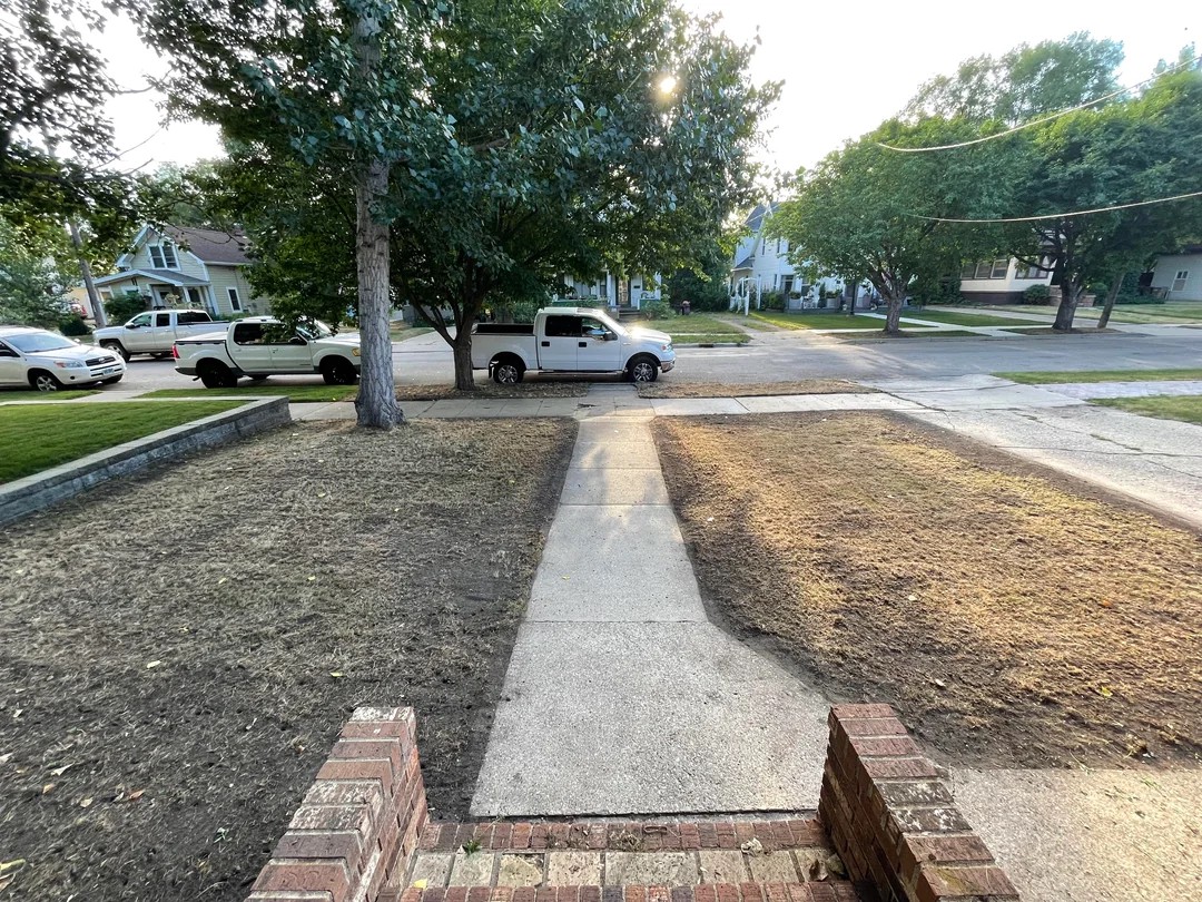 Oops… Accidentally Nuked the Lawn 😅