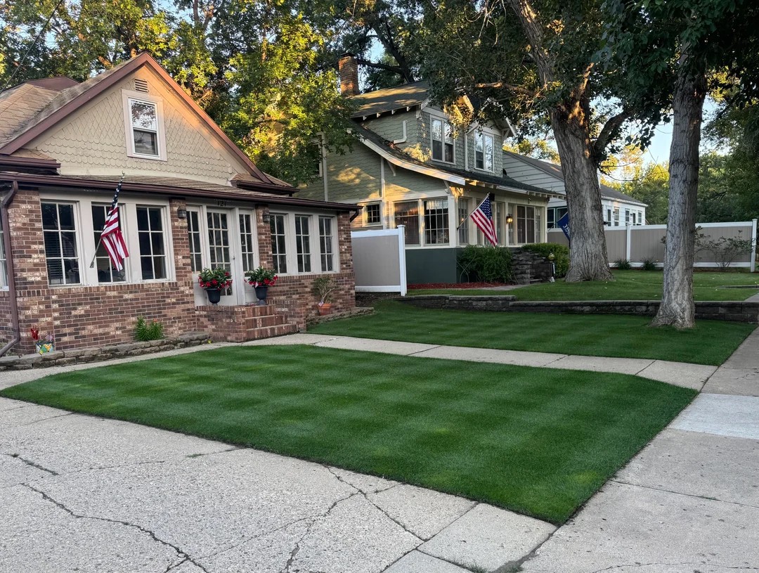 Oops… Accidentally Nuked the Lawn 😅