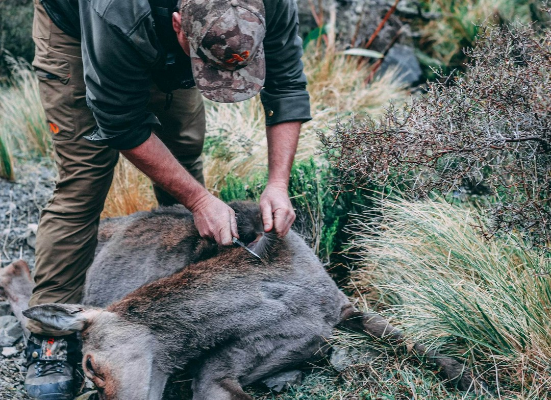 Meat hunter here - do trophy guys judge us? 