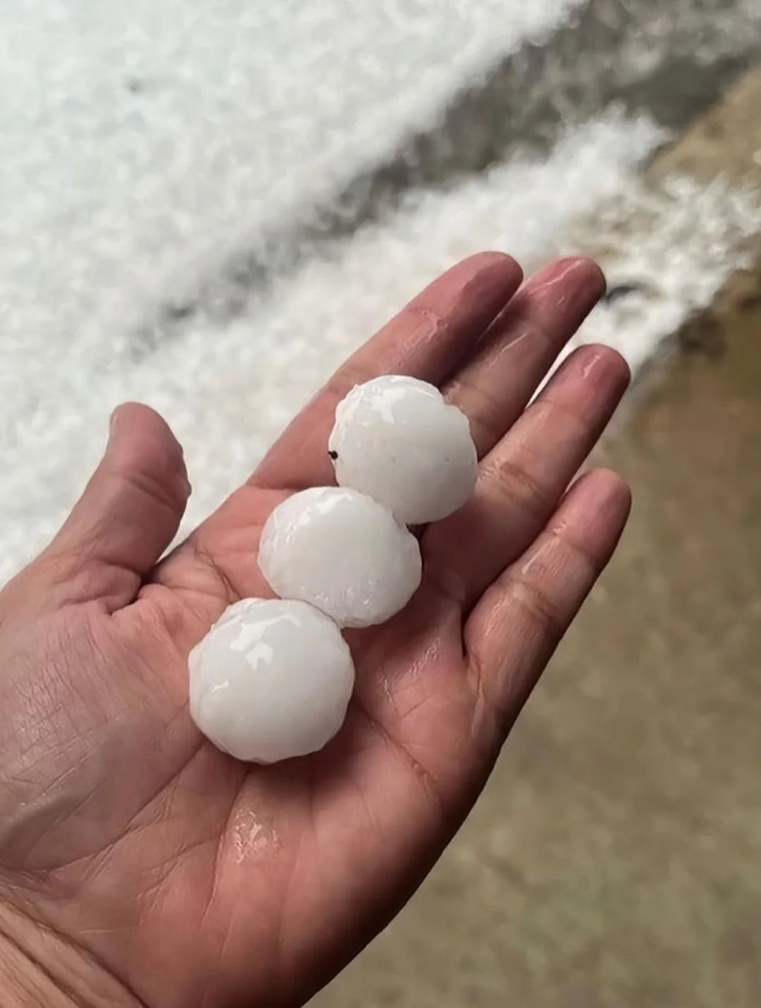 Australian mom uses her body as a shield to protect her baby during a hail storm😭😭😭
