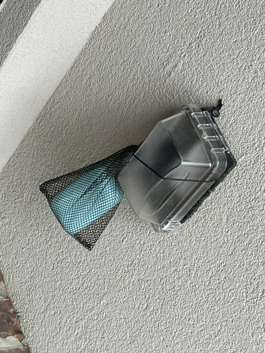 A surprisingly simple trick to keep bugs away!! 