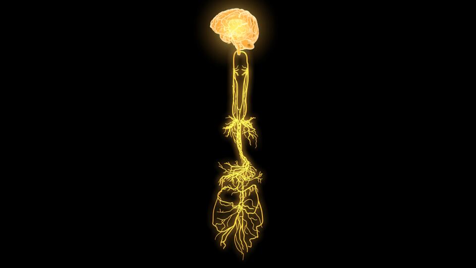 This Tiny Implant Hacks Your Nerves!