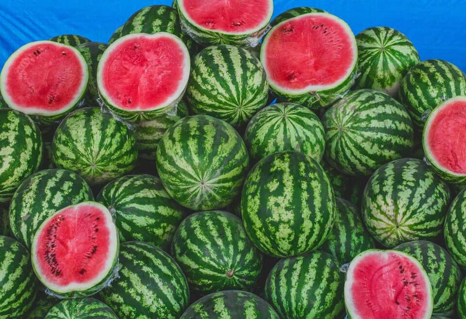 Juicy Watermelon Craze Hits America!
