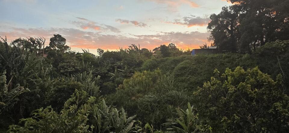 Family Swaps Texas for Panama Jungle Life
