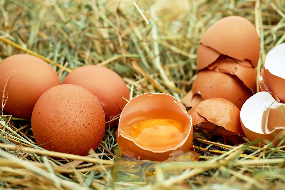 Don’t Flush These Foods—Your Wallet Will Cry!