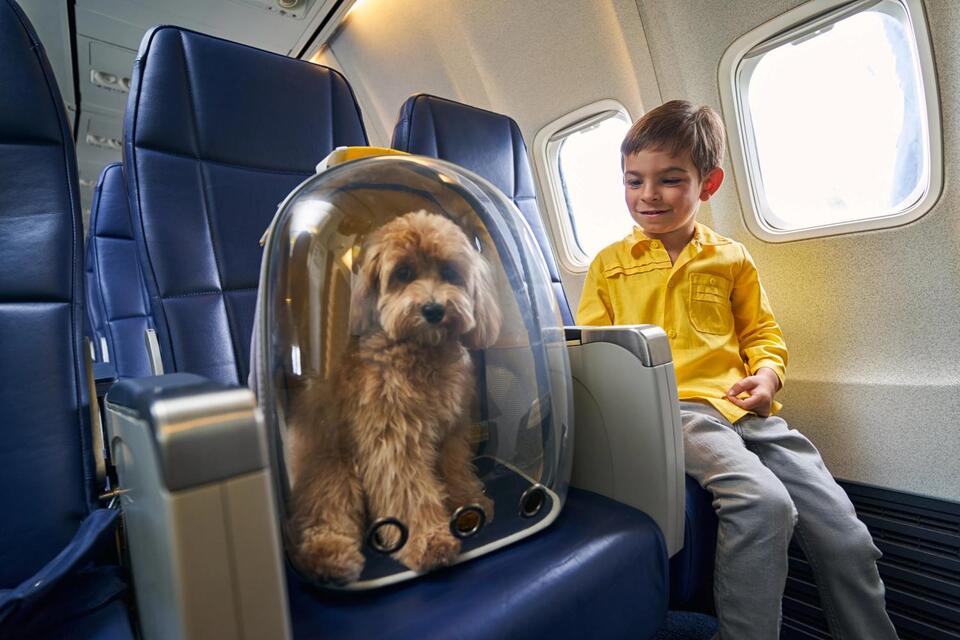 Virgin Australia’s Letting Pets Fly!