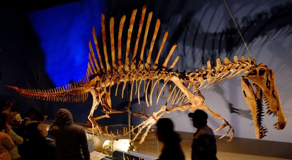 Europe’s Biggest Dino Ever Found!