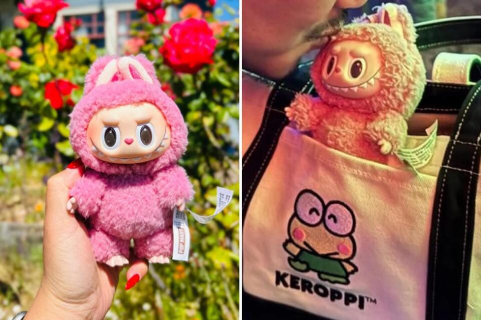 San Francisco’s Labubu lost & found adventure