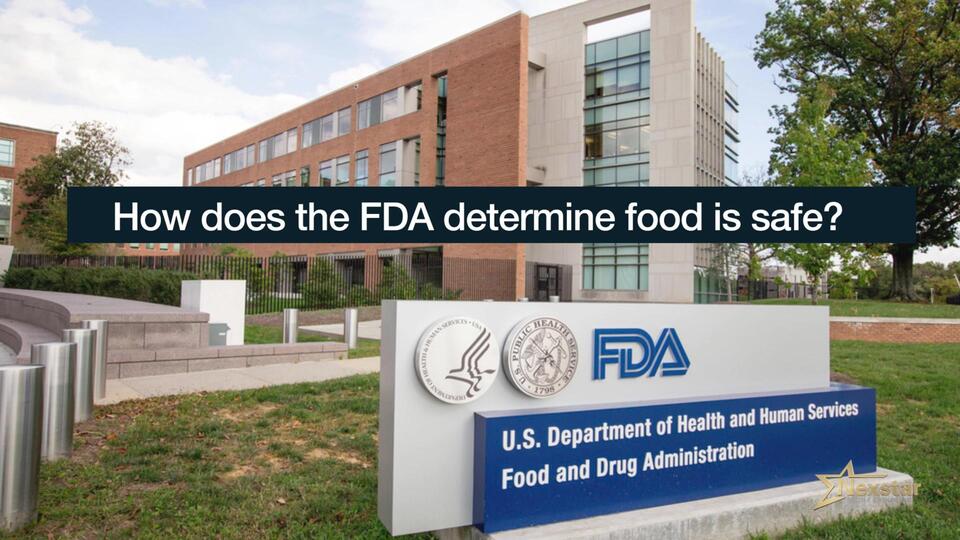 Metal in Your Burger?! Ground Beef Recall Alert